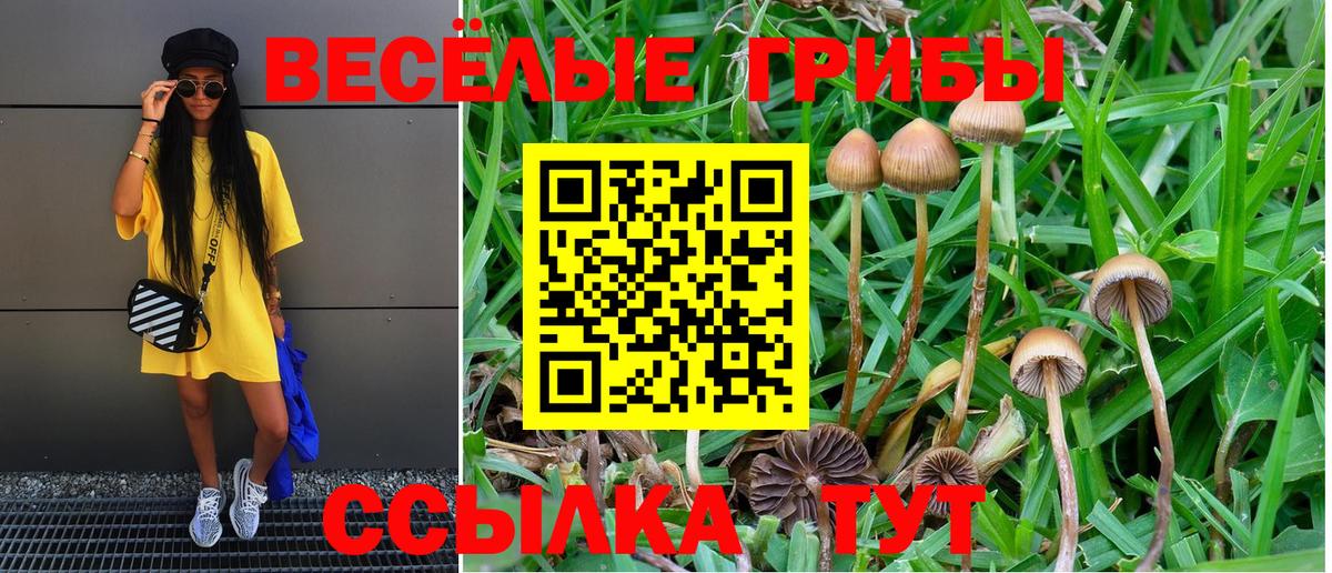 Ухта  Псилоцибиновые грибы Cubensis  наркошоп  Псилоцибиновые грибы GOLDEN TEACHER  Вход с VPN 