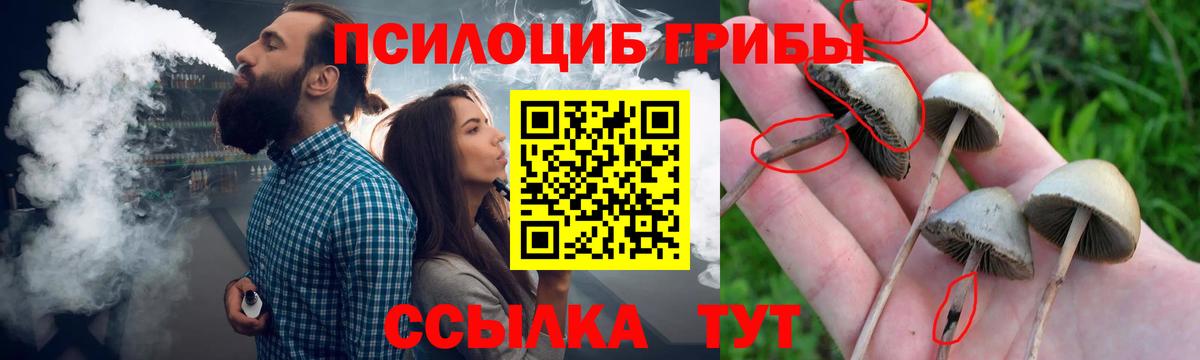 Галлюциногенные грибы ЛСД Ухта
